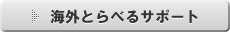 海外とらべるサポート